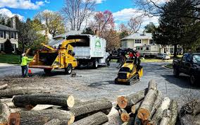 Norwood Young America, MN Tree Services Company